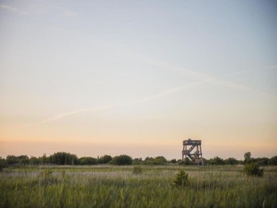 Holiday house Forest House in Appelscha near National Parks - Environment photo 23