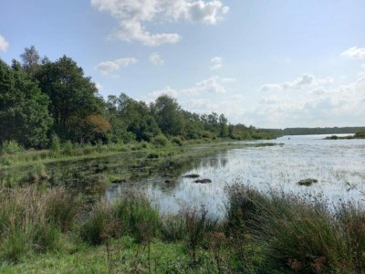 Holiday house Forest House in Appelscha near National Parks - Environment photo 24