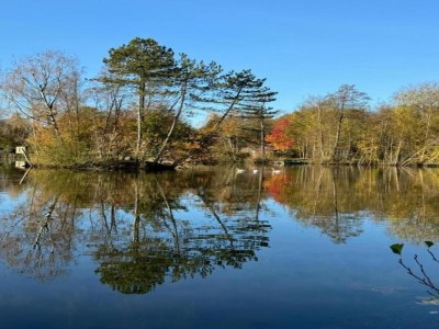 Holiday house Forest House in Appelscha near National Parks - Environment photo 25