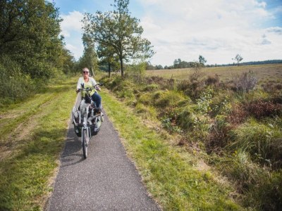 Holiday house Forest House in Appelscha near National Parks - Environment photo 26