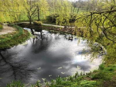 Holiday house Forest House in Appelscha near National Parks - Environment photo 27