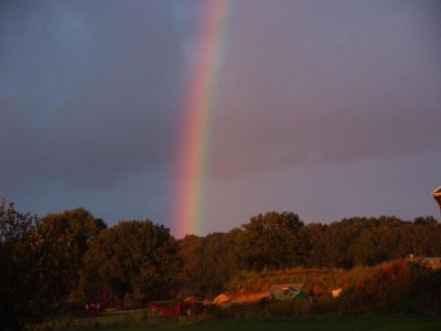 Holiday house Forest House in Appelscha near National Parks - Environment photo 29