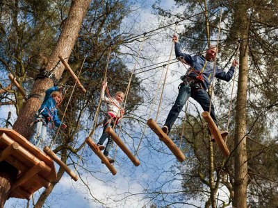 Holiday house Forest House in Appelscha near National Parks - Environment photo 30