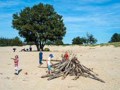 Holiday house Forest House in Appelscha near National Parks - Environment photo 31