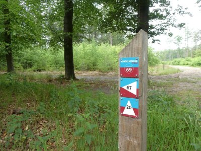 Holiday house Forest House in Appelscha near National Parks - Environment photo 32