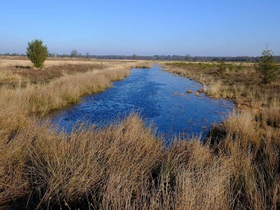 Holiday house Forest House in Appelscha near National Parks - Outdoor photo 44