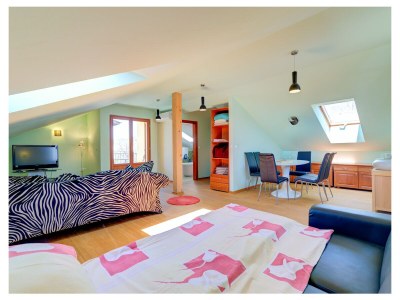 Villa Selica - Features photo 28