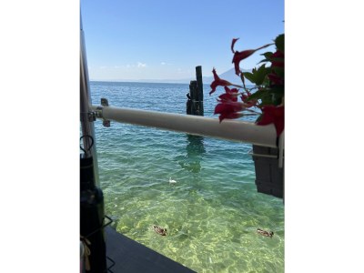 Holiday apartment Bellavista - Document photo 43