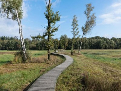 Holiday park Komfortabler Bungalow in der Veluwe - Environment photo 12