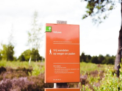 Holiday park Komfortabler Bungalow in der Veluwe - Environment photo 14