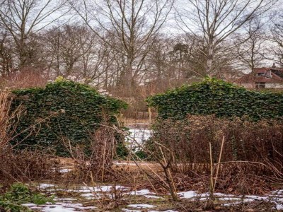 Holiday park Komfortabler Bungalow in der Veluwe - Environment photo 20