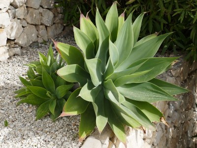 Holiday apartment Calpe - Outdoor photo 4