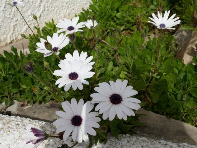 Holiday apartment Calpe - Outdoor photo 7