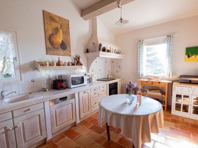 Holiday house Beautiful house with views of the Luberon - 624 MUR - Features photo 13
