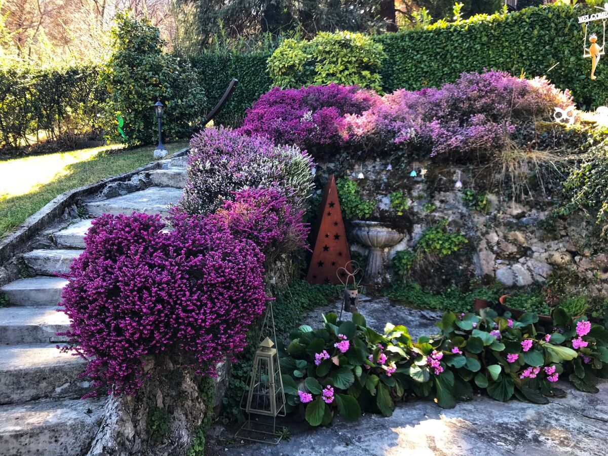 Holiday house Les Etoiles Bellagio - Outdoor photo 5