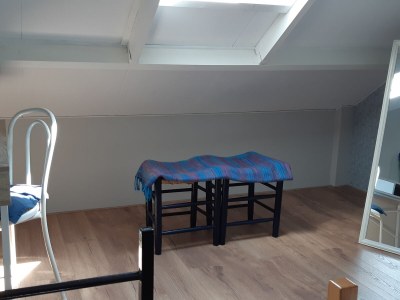 Holiday apartment van loenen - Features photo 12