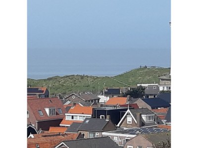 Holiday apartment van loenen - Environment photo 13