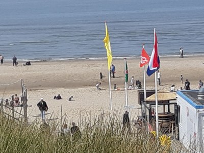 Holiday apartment van loenen - Environment photo 16