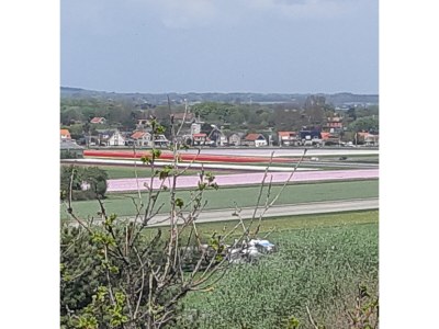 Holiday apartment van loenen - Environment photo 17