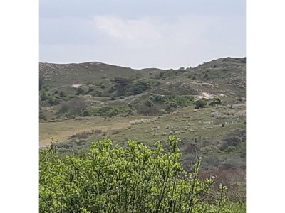 Holiday apartment van loenen - Environment photo 19