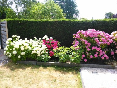 Holiday apartment Huijsmansverhuur Type A de Luxe Grevelingen 90 - Outdoor photo 10