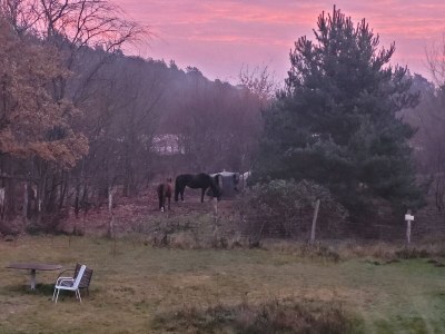 Holiday apartment Mayer-EG - Outdoor photo 7