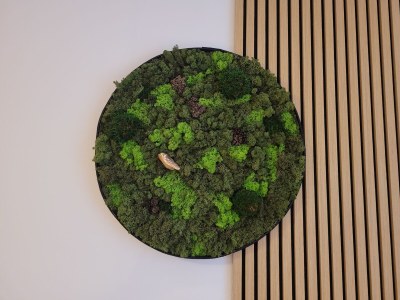 Holiday apartment Mayer-EG - Features photo 10