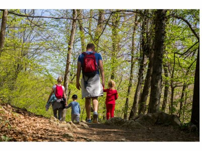 Holiday apartment Mayer-EG - Environment photo 24