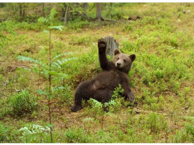Holiday apartment Mayer-EG - Environment photo 30