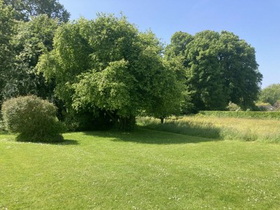 Holiday house Vieux Logis - Environment photo 37