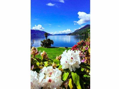 Apartment Elegante - Environment photo 16