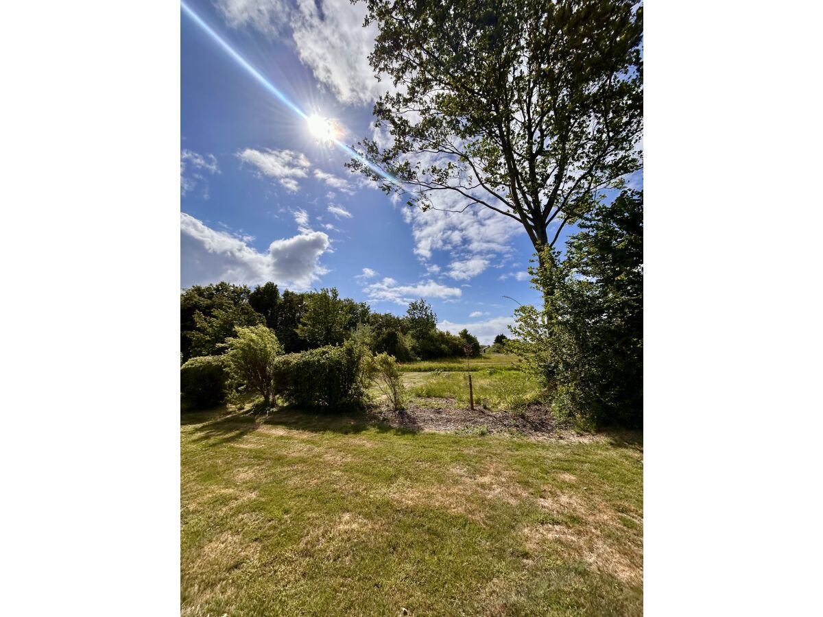 Holiday house Cottage Madelief - Outdoor photo 5