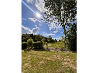 Holiday house Cottage Madelief - Outdoor photo 5