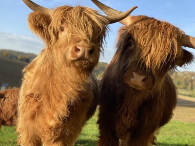 Holiday house Forsthaus Gut Malberg - Outdoor photo 17