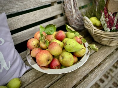 Holiday house Forsthaus Gut Malberg - Outdoor photo 20