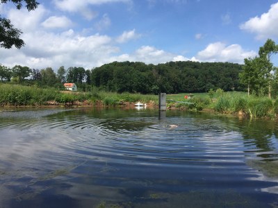 Holiday house Forsthaus Gut Malberg - Outdoor photo 21