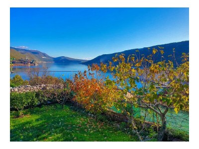 Holiday house Villa Volcera - Environment photo 23