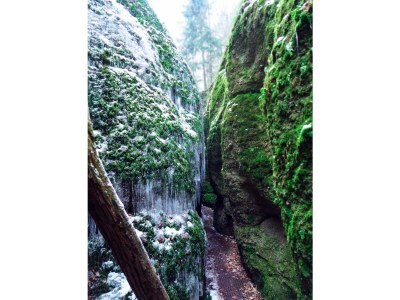 Holiday apartment Ambiente - Environment photo 8