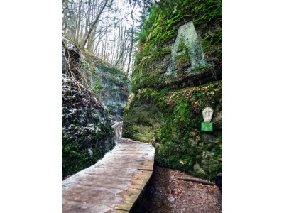 Holiday apartment Ambiente - Environment photo 10