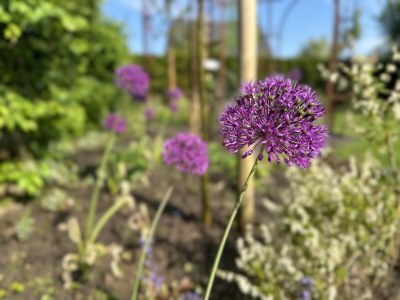 Holiday house urlaubinsicht.de - Outdoor photo 3