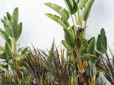 Holiday house Casa Joana - Outdoor photo 8