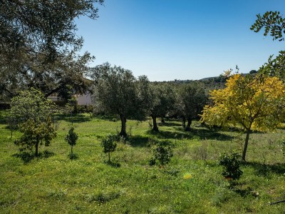 Holiday house Quinta Bela Luisa - Outdoor photo 4