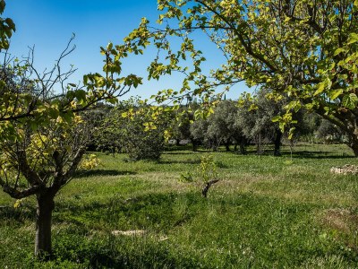 Holiday house Quinta Bela Luisa - Outdoor photo 5