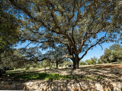 Holiday house Quinta Bela Luisa - Outdoor photo 19