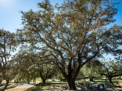 Holiday house Quinta Bela Luisa - Outdoor photo 20
