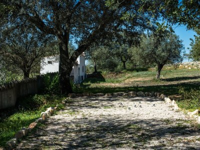 Holiday house Quinta Bela Luisa - Outdoor photo 31