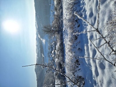 Apartment 6-Bett-Ferienhaus Western Cottage - Outdoor photo 49