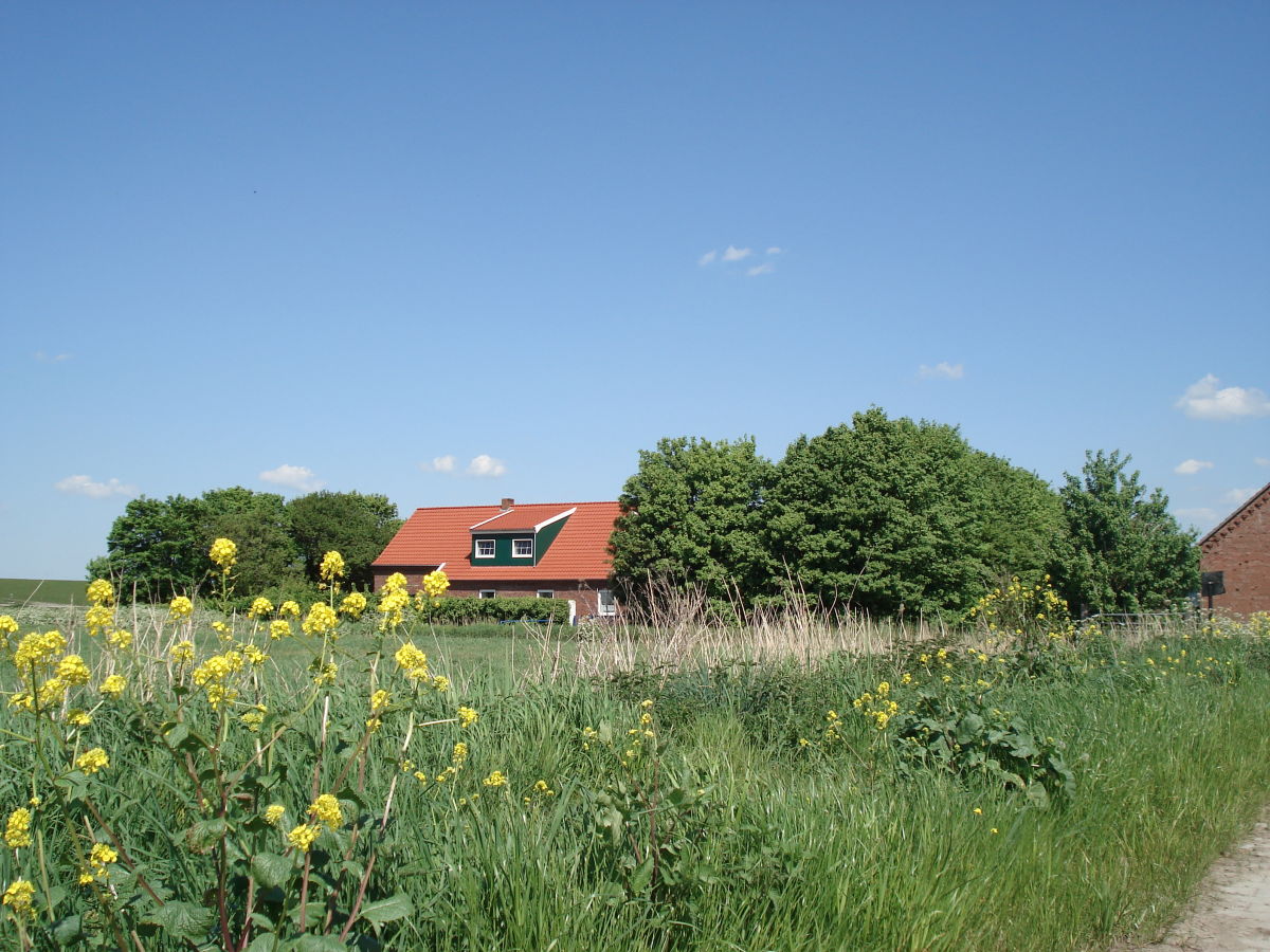 Holiday apartment Schafweg 4 - Outdoor photo 3
