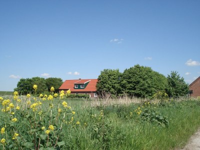 Holiday apartment Schafweg 4 - Outdoor photo 3