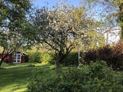 Holiday apartment Schafweg 4 - Outdoor photo 4